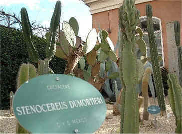 "Im�genes de M�xico" por Ahmed Ali Asadi Gonz�lez